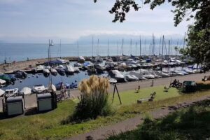 Restaurant LE TAILLECOU à Saint-Prex | Au bord du Lac Léman