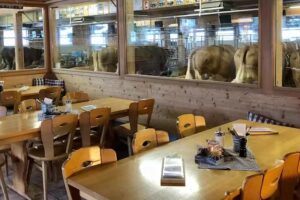 Restaurant Michel’s Stallbeizli