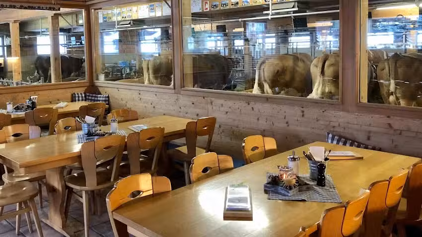 Restaurant Michel&rsquo;s Stallbeizli