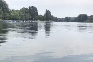 Restaurant RheinGenuss