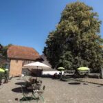 Restaurant Sch&ouml;ngr&uuml;n