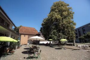 Restaurant Sch&ouml;ngr&uuml;n