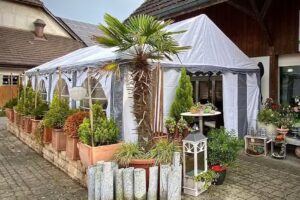 Ruby&rsquo;s Caf&eacute;