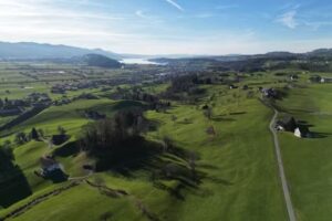 Steiners Buurehofglace