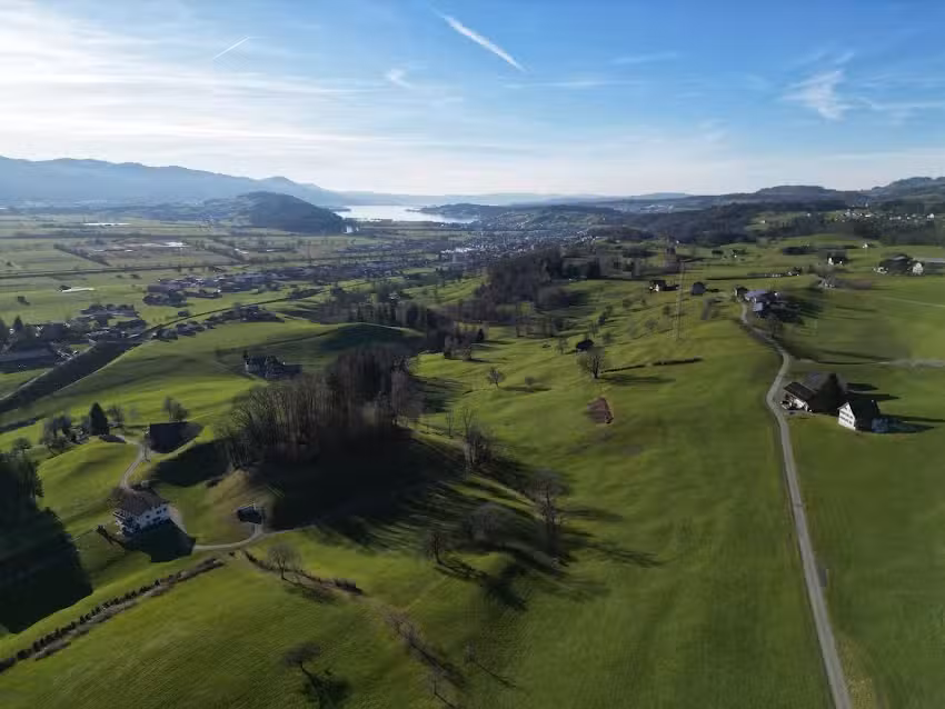 Steiners Buurehofglace