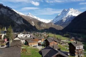 Taverne Evol&eacute;narde