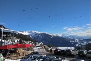 Tsalan &eacute;curie