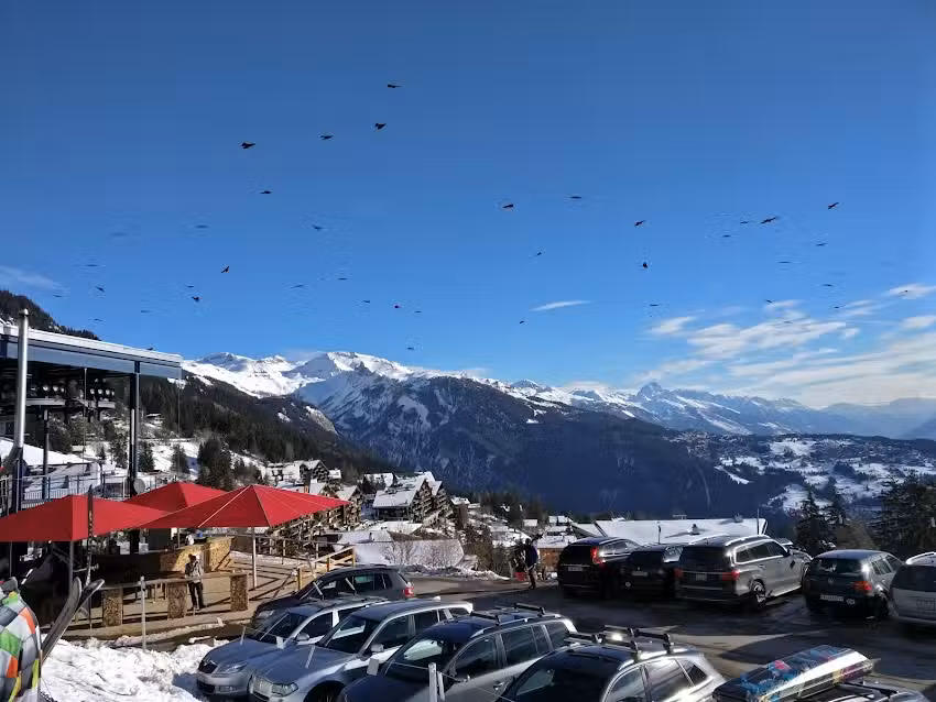 Tsalan &eacute;curie