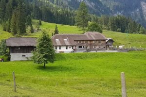 Unterlauelenalpwirtschaft