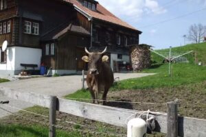 Waldegg Appenzell