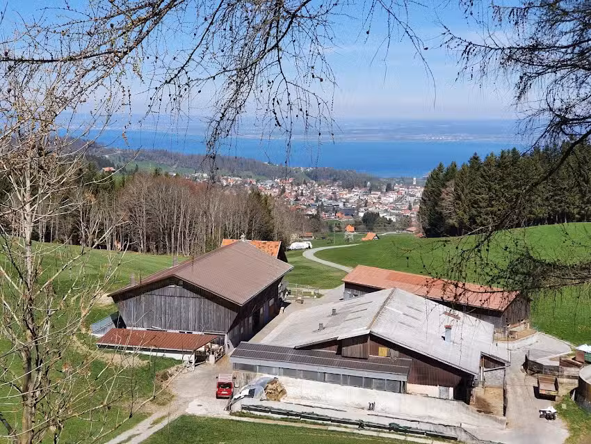 Wirtschaft R&uuml;tegg