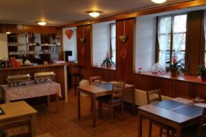 Wok Cuisine Asiatique