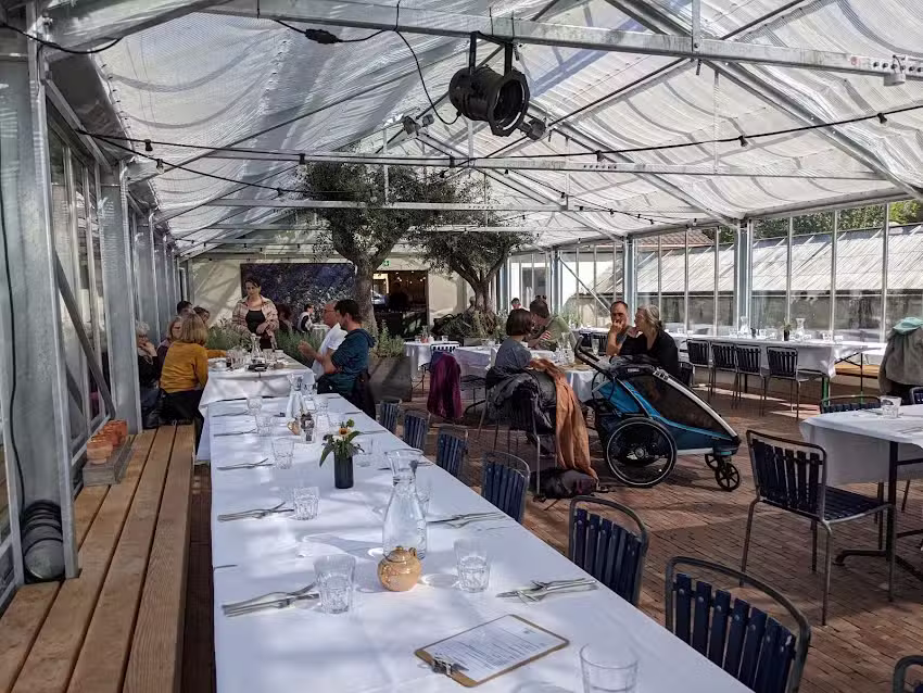 Zehenderm&auml;tteli